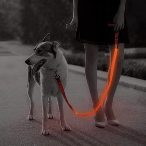 LED Dog Leash - Picture 1 of 7